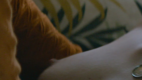 Pic: Alli Neumann in Christmas Crossfire