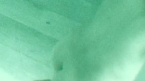 Pic: Nadia Tereszkiewicz in Possessions