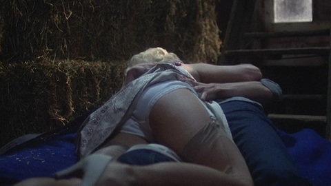 Pic: Diana Scarwid in Mommie Dearest