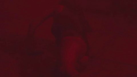 Pic: Milena Radulović in The Superdeep