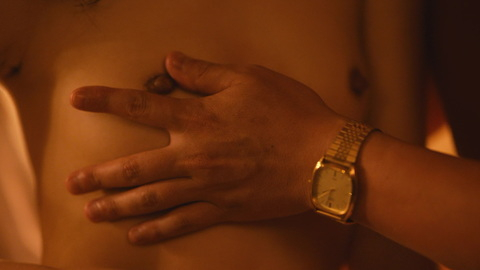 Pic: Yuri Tsunematsu in The Naked Director