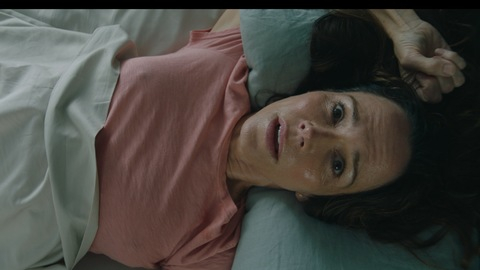 Pic: Frances O'Connor in The End