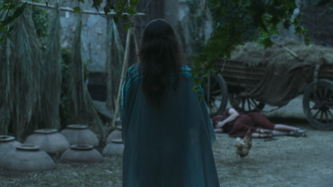 Pic: Kasia Smutniak in Domina