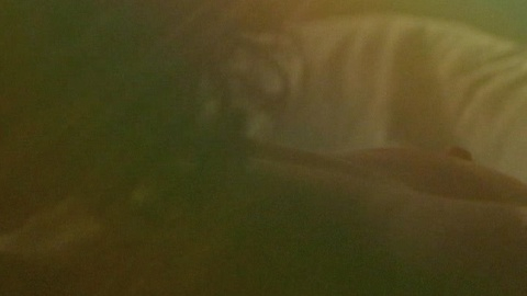 Pic: Weronika Rosati in Never Gonna Snow Again