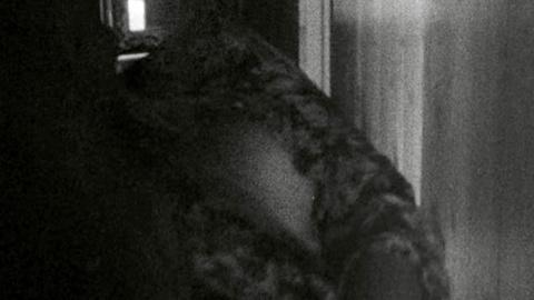 Pic: Lynn Carlin in Faces