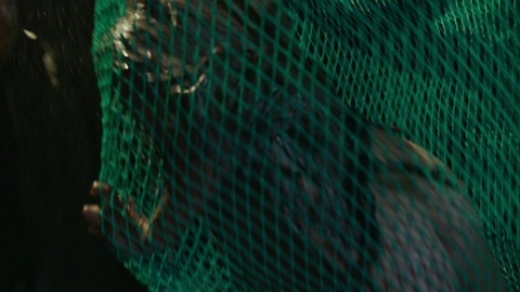 Pic: Karen Sollihaug in Beforeigners