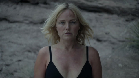 Pic: Malin Åkerman in The Aviary