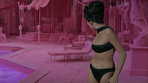 Pic: Shirley MacLaine in What a Way to Go!