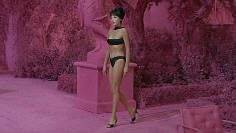 Pic: Shirley MacLaine in What a Way to Go!