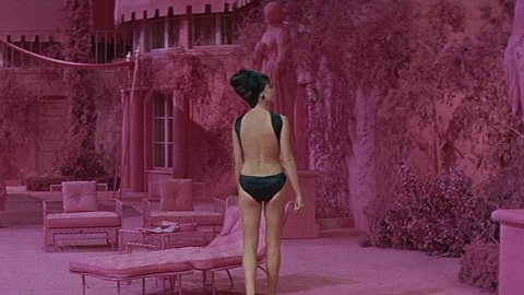 Pic: Shirley MacLaine in What a Way to Go!