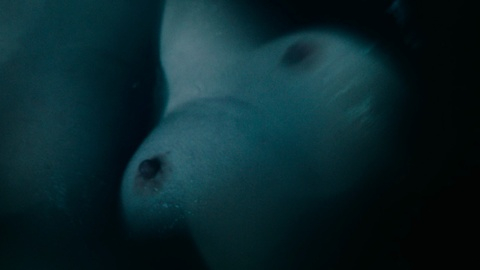 Pic: Sarah Hay in Mid-Century