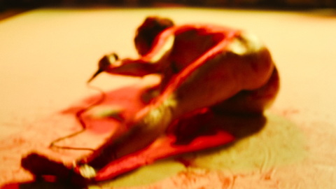 Pic: Fatma Mohamed in Flux Gourmet