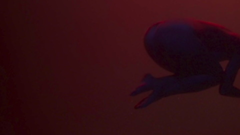 Pic: Lali Espósito in The End of Love