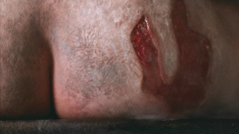 Pic: Malin Barr in A Wounded Fawn