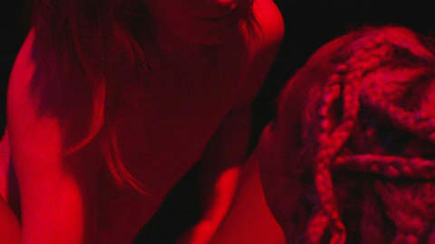 Pic: Bobbi Salvör Menuez in My Animal