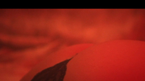 Pic: Ashley Benson in Alone at Night