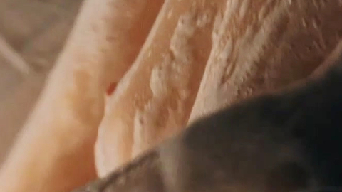 Pic: Jovana Stojiljković in Vera