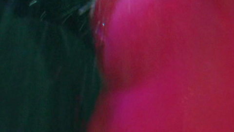 Pic: Virginia Gardner in Beautiful Disaster