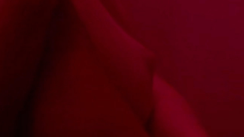 Pic: Helena Englert in Temptation