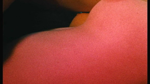 Pic: Tilda Swinton in Egomania: Island Without Hope