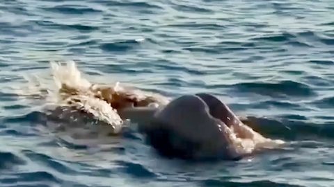 Pic: Jennifer Lawren in Heart