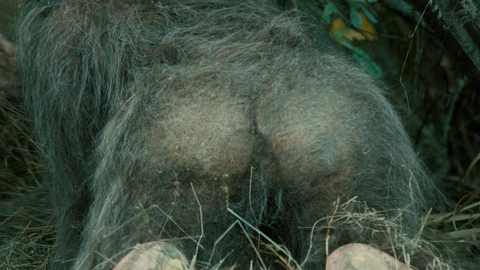 Pic: Riley Keough in Sasquatch Sunset