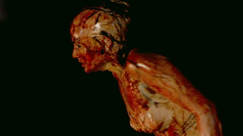 Pic: Emily Sweet in Desert Shadows