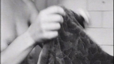 Pic: Eileen Chapman in Two Thousand Weeks