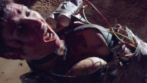 Pic: Diane Ayala Goldner in Feast