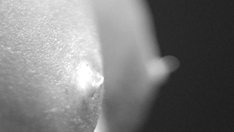 Pic: Christa Théret in She Is Conann