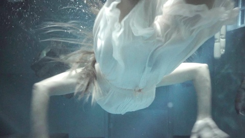 Pic: Léa Seydoux in The Beast