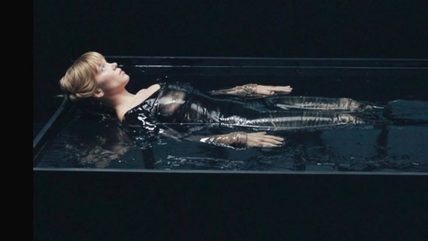 Pic: Léa Seydoux in The Beast