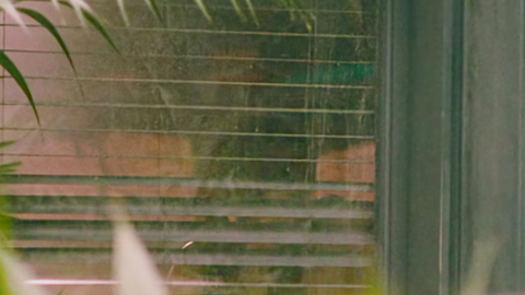 Pic: Chacha Huang in Emmanuelle