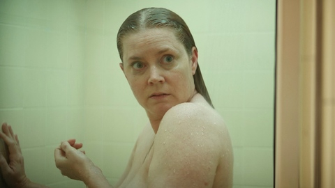 Pic: Amy Adams in Nightbitch