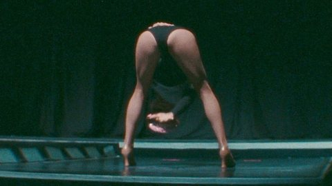 Pic: Pamela Anderson in The Last Showgirl (2024)