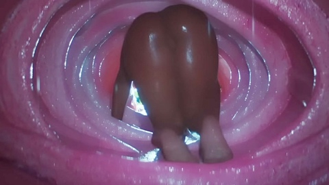 Pic: Megan Thee Stallion in Cobra