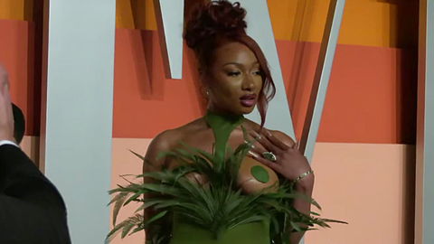 Pic: Megan Thee Stallion in The Oscars