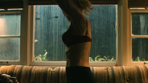 Pic: Nicole Kidman in Holland