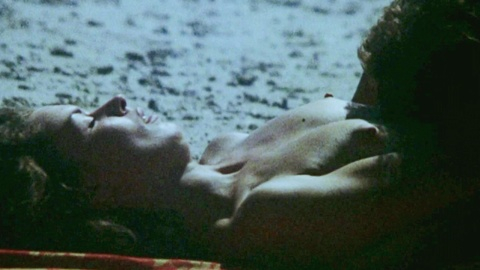 Pic: Elizabeth Loredan in Cheerleaders Beach Party