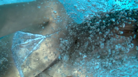 Pic: Dasha Nekrasova in The Code