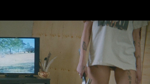 Pic: Halsey in Americana