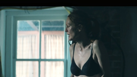 Pic: Julianne Moore in Echo Valley