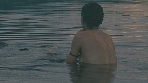 Pic: Thalissa Teixeira in Harvest