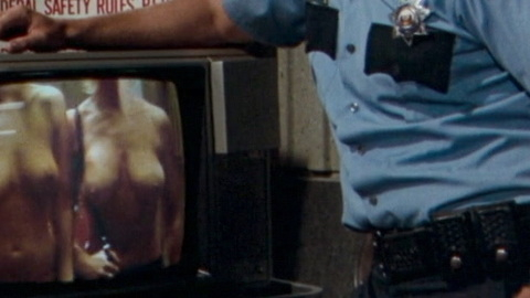 Pic: Deirdre L. Cowden in Airplane II: The Sequel