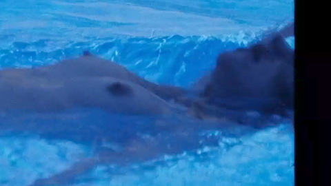 Pic: Imogen Poots in The Chronology of Water