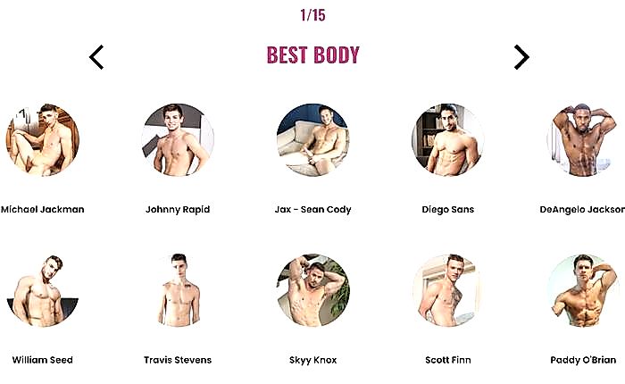 VOTE NOW For The 2020 Fleshbot Awards!