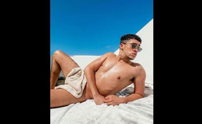 Have Any of the 2026 Grammy Nominees Gone Nude?