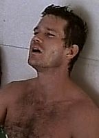 Dylan Walsh