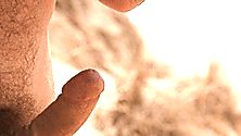 Playlist Item #17