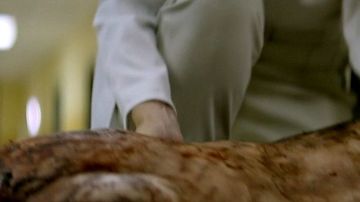 SuitableFlesh-2023-Lewis-MrMan-HD-02_large_thumbnail_3_override.jpg?quality=80&1715482523&width=360&s=6524ee1c509ee14268b26c0d3d25b95746e5edc4d7b3320446663198478d3a64